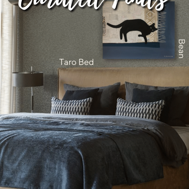 Curated Finds #1